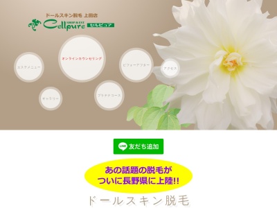 セルピュア（Ｃｅｌｌｐｕｒｅ）(日本、〒386-0034長野県上田市中之条３０−１)