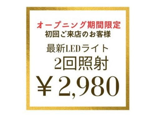 シャーロット銀座札幌本店(北海道札幌市中央区南1条西5-16プレジデント松井100 1103号室)