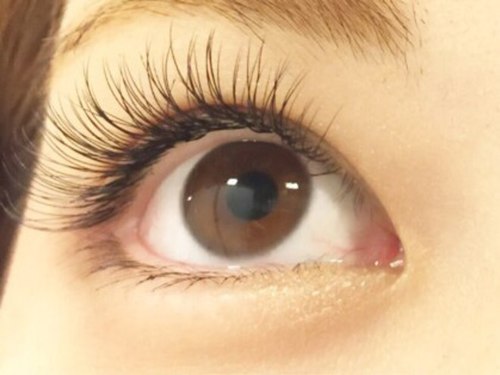 チェルモヘアーアイラッシュ 町田(CHELUMO HAIR EYELASH)(東京都町田市原町田6-25-5 エリーゼ2 2F )