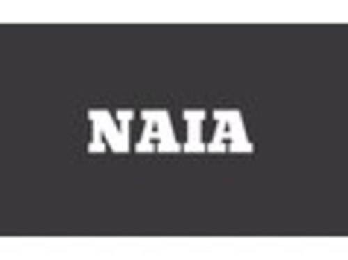 ナイア(NAIA)のクチコミ・評判とホームページ