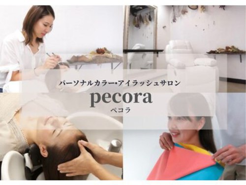 ペコラ(pecora)のクチコミ・評判とホームページ