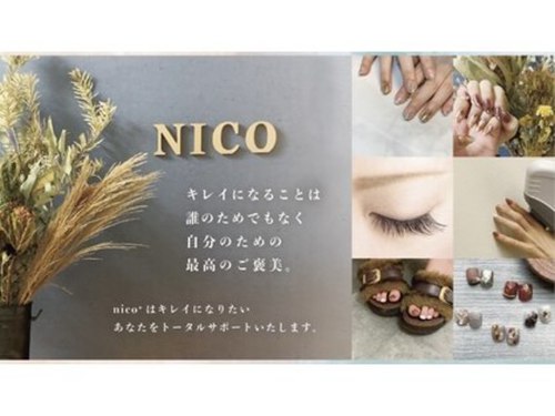 ネイルサロンアンドアイラッシュ ニコ(nico+)(愛知県安城市三河安城町1-10-3 マックビル2F)