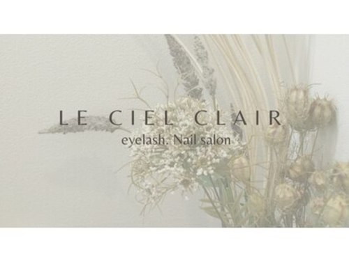 ルシェル クレア(Le ciel clair)(京都府京都市中京区西洞院通四条上る蟷螂山町473 レジデンシャル四条蟷螂山1002)