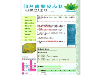 仙台青葉皮ふ科のクチコミ・評判とホームページ
