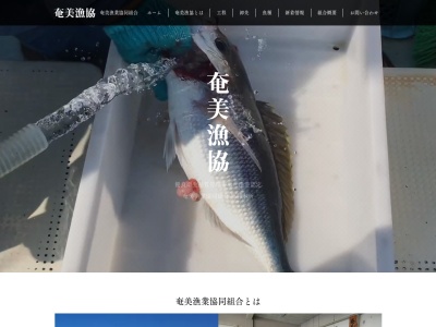 奄美漁業協同組合のクチコミ・評判とホームページ