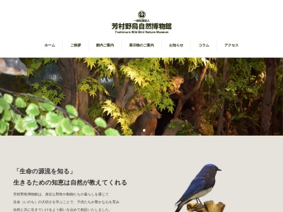 芳村野鳥自然博物館のクチコミ・評判とホームページ