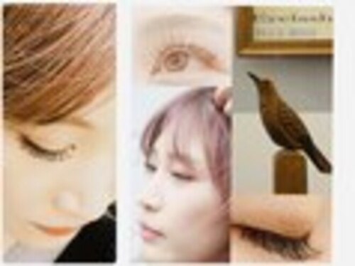 ブルーバード(BLUE BIRD)(福岡県北九州市小倉北区京町1-2-15 2階)