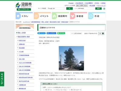 ランキング第12位はクチコミ数「0件」、評価「0.00」で「正覚寺のコウヤマキ（沼田市指定天然記念物）」