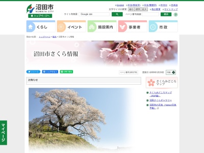 薗原湖の桜(日本、〒378-0324群馬県沼田市利根町園原)