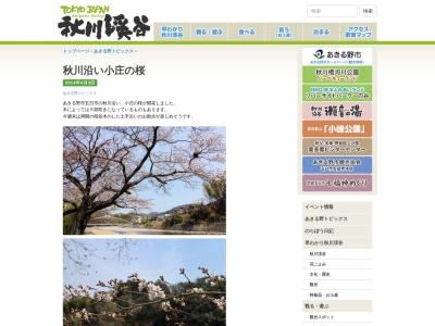 小庄の桜並木のクチコミ・評判とホームページ