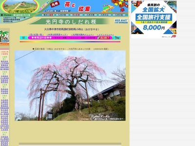 小柿山高円寺のしだれ桜のクチコミ・評判とホームページ