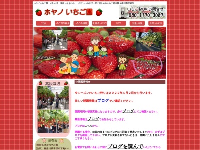 ホヤノいちご園のクチコミ・評判とホームページ