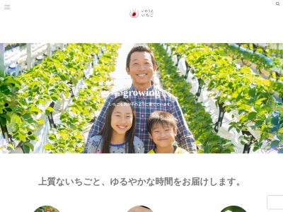いのうえいちごのクチコミ・評判とホームページ