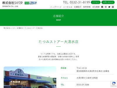 たつみストアー大清水店(愛知県豊橋市大清水町字大清水138)