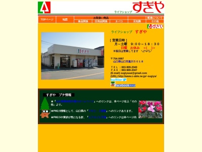 杉屋百貨店(山口県山口市嘉川5018)