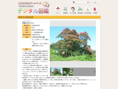 中村のサルスベリ(日本、〒380-0885 長野県長野市桜)