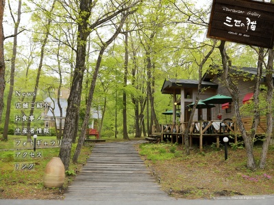 三匹の猫(栃木県那須郡那須町大字高久甲2888-236)